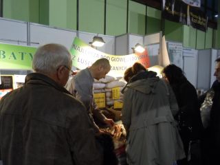 SAM_4873