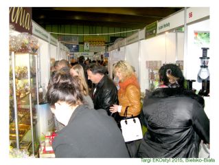 IMG_0534
